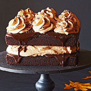 Calling all lovers of cake – It’s National Chocolate Cake Day